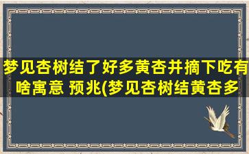 梦见杏树结了好多黄杏并摘下吃有啥寓意 预兆(梦见杏树结黄杏多，预示好运频传，幸福生活近在咫尺！)